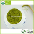 High Quality Organic Green Tea Matcha for Tea Importers